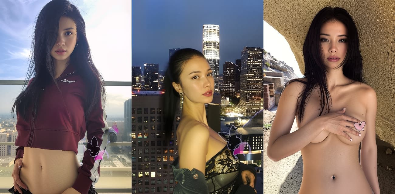 每日大乱斗 - 每日大乱斗攻略大全_最新阵容推荐与玩法技巧详解指南