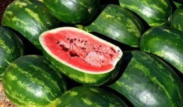 高质量吃瓜免费,免费畅享高质量吃瓜盛宴，尽在指尖一触！