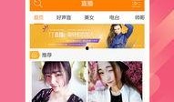 娱乐爆料直播号是什么意思,揭秘娱乐圈幕后风云