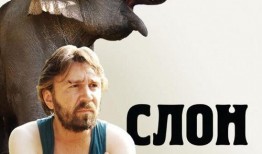 大象电影在线观看,探索动物世界的奇幻之旅