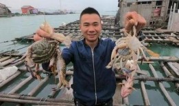 赶海爆料视频,揭秘海洋宝藏的神秘之旅