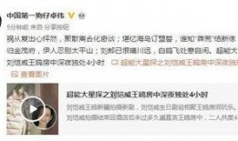 爆料王胖的视频大全,笑料百出，趣味横生