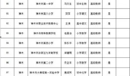 爆料玩具店老板被抓视频,现场视频曝光引关注