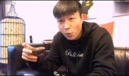 娱乐圈帝师爆料小说,幕后真相与爱恨情仇