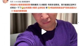 杨迪爆料妈妈语音视频,温馨日常展现母爱光辉