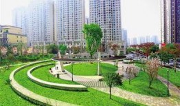 渝北泽科港城最新爆料,揭秘神秘项目背后的惊人真相