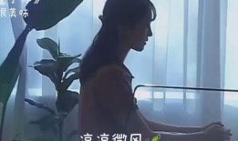 奇闻爆料解说视频大全,视频大全中的神秘世界