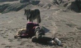 是狼是人的电影在线观看,狼人还是人？揭秘经典悬疑电影在线观看之旅