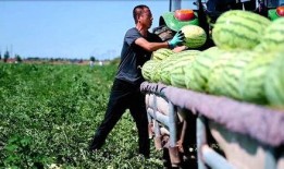 新瓜最新爆料黑料河传姚,新瓜揭露惊人内幕