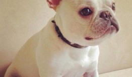 巴哥线索爆料了吗视频大全,爆料视频大全深度解析