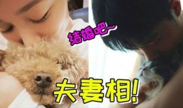 兔兔娱乐爆料肖战杨紫,兔兔娱乐独家爆料幕后故事