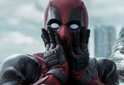 死待手机在线观看,揭秘“死待”现象背后的网络生活