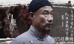 白鹿原电视剧在线观看完整版免费,免费在线观看，揭秘百年家族风云