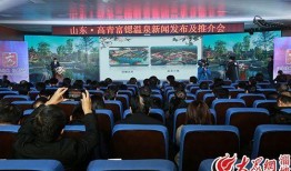 淄博高青新闻头条爆料,突发事件引发关注，详情即将揭晓