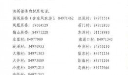 南头镇最新爆料消息公布,揭秘背后惊人真相