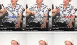 吴绮莉向记者爆料视频,揭秘娱乐圈惊人内幕