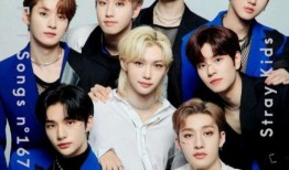 韩娱圈内真实爆料straykids,StrayKids背后的真实故事与幕后真相