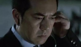 黄秋生刑警在线观看,探案风云再起，正义之光闪耀荧屏