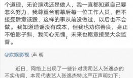 爆料张姓艺人名单最新,张姓艺人名单曝光，揭秘明星背后的秘密