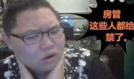 狂人爆料猪哼歌视频,猪哼歌视频背后的惊人真相