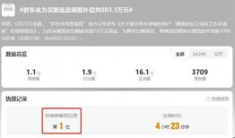 胖东来爆料视频,一场关于企业文化的深度对话