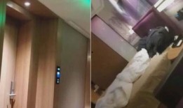 情侣宾馆在线观看,情侣宾馆在线观影指南