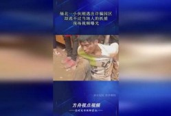 当地人的爆料视频大全,爆料视频大全背后的真实故事