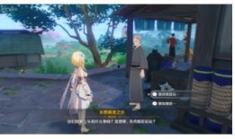 原神烟花最新爆料任务,神秘任务引玩家热议，揭秘神秘世界之谜