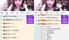 女主播绯闻爆料视频大全,真相与谣言的交织