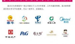 广州教育新闻 爆料,重磅爆料揭示教育改革新动向