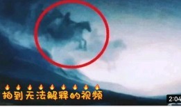 奇闻爆料解说视频大全,视频大全中的神秘世界