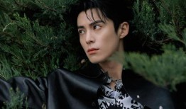 明星娱乐爆料王鹤棣视频,帅气魅力引粉丝热议