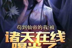 视频爆料小说,小说背后的真实故事