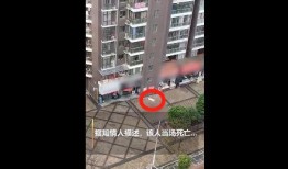 莆田一小区爆料事件最新,业主维权事件引发社会关注