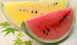 高质量吃瓜免费,免费畅享高质量吃瓜盛宴，尽在指尖一触！