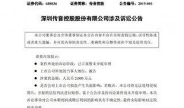 华为传音控股最新爆料,揭秘全球手机市场新霸主崛起之路