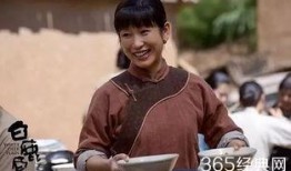 白鹿原电视剧在线观看完整版免费,免费在线观看，揭秘百年家族风云