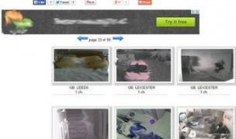 西宁实况爆料新闻视频,最新新闻视频深度解析