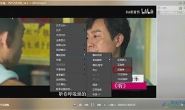 昆明爆料海燕视频播放,海燕视频播放引发热议，真相究竟如何？