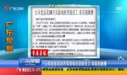 广东讨薪新闻爆料视频播放,视频揭露农民工维权困境