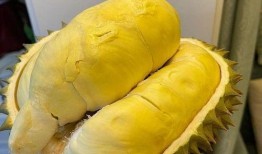 泰国最新榴莲爆料,揭秘最新品种与市场趋势