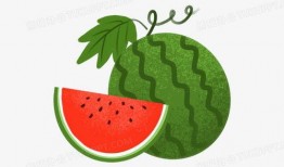 大瓜吃瓜素材视频大全免费观看,大瓜吃瓜素材视频大全，带你领略娱乐盛宴