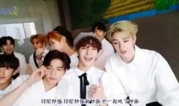 韩娱圈内真实爆料straykids,StrayKids背后的真实故事与幕后真相