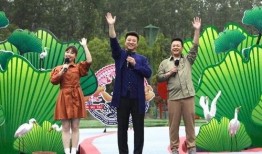 淮阳新闻爆料最新消息视频,视频揭示惊人事件详情