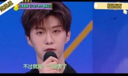 王鹤棣刘艺爆料视频合集,揭秘娱乐圈幕后真相