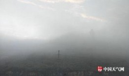 浓雾高清在线观看,揭秘神秘雾境的惊悚之旅