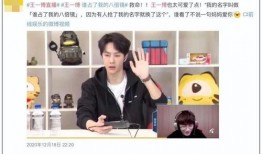 昆明爆料海燕视频播放,海燕视频播放引发热议，真相究竟如何？