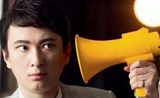 娱乐圈吃瓜配文小说推荐,吃瓜小说,揭秘明星背后的秘密