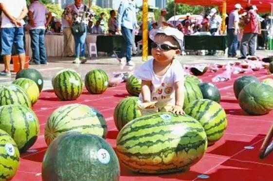 每日大赛 吃瓜入口