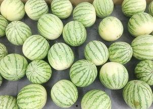 每日大赛 吃瓜入口